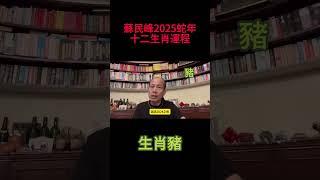 生肖豬 - 蘇民峰2025蛇年犯太歲、人緣運、財運、健康運、事業運、姻緣運詳講！ #蘇民峰 #蘇民峰2025