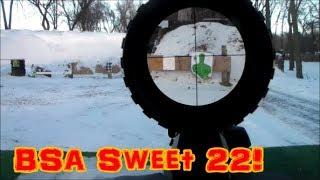 BSA Sweet .22 3-9x40mm Rifle Scope!