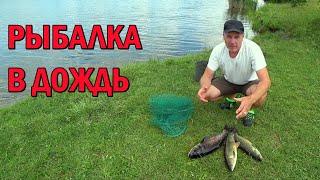 ТОЛСТОЛОБ И АМУРЫ / Знакомый водоём  Fishing Video