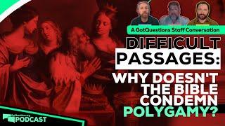 Why doesn't the Bible explicitly condemn polygamy? Why did God allow polygamy? - Podcast Episode 228