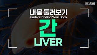 Liver [Understanding Your Body]