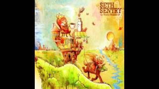 Seth Sentry - Strange Lot (Official Audio)