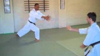 Shudokan Aikido