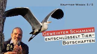 Wie du TIER-BOTSCHAFTEN entschlüsselst || Ein Schamane gibt dir den Schlüssel - KRAFTTIERE 5/5