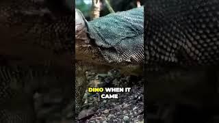 Insane Footage Reveals Monitor Lizard's Deadly Encounter with Rattlesnake #footage #reveal #shorts