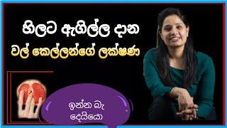 හිලට  TopiyaA Live Concept එකක්  TopiyaA Fun