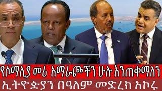 የሶማሊያ መሪ  አማራጮችን ሁሉ እንጠቀማለን እና ኢትዮዽያን በዓለም መድረክ አኮሩ