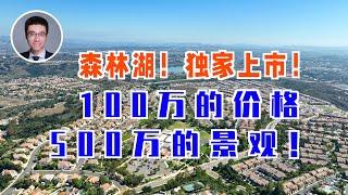 572期｜ 介绍 100万的价格 500万的景观！森林湖！独家上市！