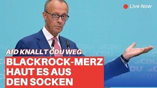 AfD demontiert SPD und CDU  Brandner verpasst Merz eine Klatsche, die ihn völlig aus der Bahn wirft