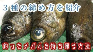 釣ったメバルはこう持ち帰る【お持ち帰りシリーズ】