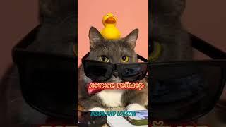 Версии Лоткова чтобы победить персонажей котийнет #Kotiynet
