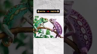  MYTH  VS.   FACT  #Noway
