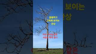 복이 없는 사람의 관상