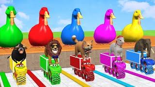 5 Giant Duck Cartoon,Cow,Mammoth,Dog,T-Rex,Lion,Tiger Paint Wild Animals Crossing Fountain Animation