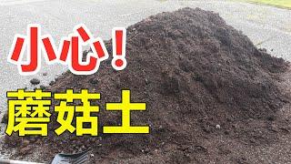 种蘑菇的土不简单, 什么是蘑菇土, 种菜正确使用办法 mushroom manure