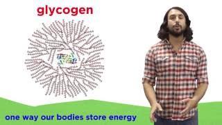 Carbohydrates Part 2: Polysaccharides