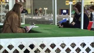 2015 Florida State Fair: rabbit showman