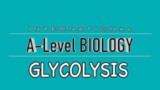 A Level Biology: Glycolysis