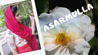 Asarmulla manam veeshum katte |   mappila song | family photo's |  chandni Parveen