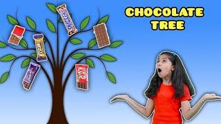 Pari Ka Chocolate Tree | Exciting Story | Pari's Lifestyle