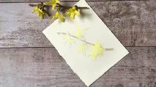 How To Paint Forsythia With Watercolors