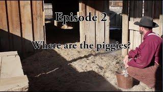 Ask Farmer Steve:  Where are the Piggies