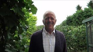 Castle Hill Garden   Summer Pruning Fruit Trees.