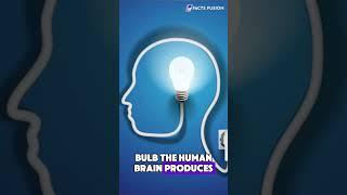 Your Brain Could Power a Light Bulb! 