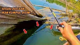 SESUAI DUGAAN ‼️ AIR SURUT IKAN KUMPUL DI SPOT BEGINI | mancing ikan red devil nahol mania