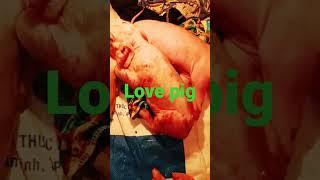 Love pig. Welcome everyone hope you all guys support me by watching and sharing video !