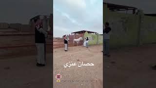 حصان عنزي هههههههه @منوعاتعلىكيفكومزاجك