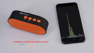 Wireless speaker with hands-free function by Canyon