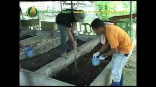 Demo on Vermicomposting & Vermiculture courtesy of Dr. Ed Lalas, DA-QAES