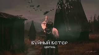 ЦВЕТЕНЬ - БУЙНЫЙ ВЕТЕР | Official audio | tsveten - violent wind