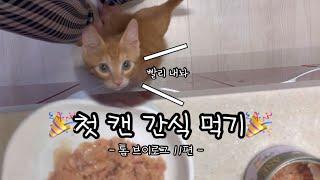 톰 브이로그 11편 !!