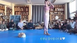 [요가 vlog] 하타요가 / 한주훈선생님 요가강사의 제주 여행의 기록 (정수리를 꼬리뼈에 갖다붙여) /이효리 요가