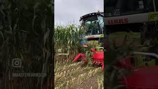 Claas Jaguar 860 -Maize silage 2024 #farming #farmmachinery #claas