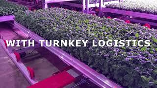 Vertical Farming by Bosman Van Zaal