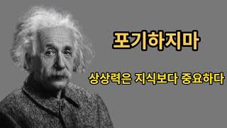 아인슈타인 명언 30가지