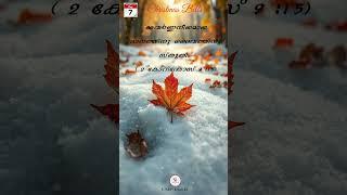 Christmas Bells 2024|#status |#shorts