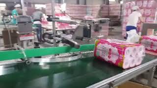 Pequeña máquina de empaquetado de papel higiénico completamente automática