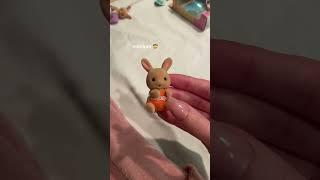 micro mini sylvanian families #sylvanianfamily #toys #trend #fy