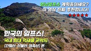 [영남알프스 3일차] 간월산·신불산·영축산 연계산행