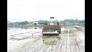 Yanmar AutoRice Transplanter YR8D, A [0:60]