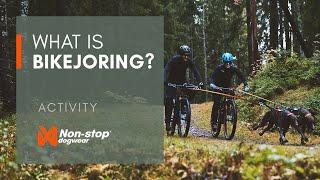 What is bikejoring? Guide to biking with your dog!