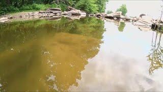 DC Boil Water Advisory caused by non-toxic green algae