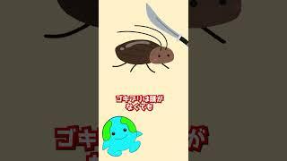 ゴキブリの生命力はなぜ強いのか？#生物 #動物 #shorts