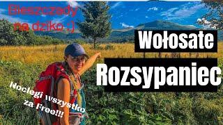 Tarnica przez Rozsypaniec i Halicz z Wołosatego Kamperem na dziko w Bieszczady, vanlife Polska