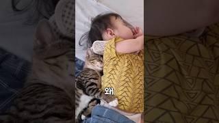 고양이 잠자는 자세로 보는 심리 7가지 #shorts