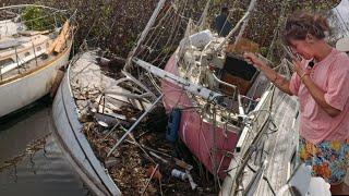 Hurricane Beryl:  Carnage in the Carriacou mangroves   |   Ep119